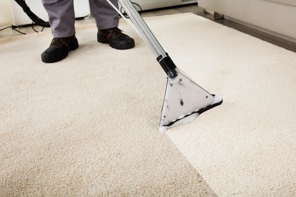 Professional Carpet Cleaning Services